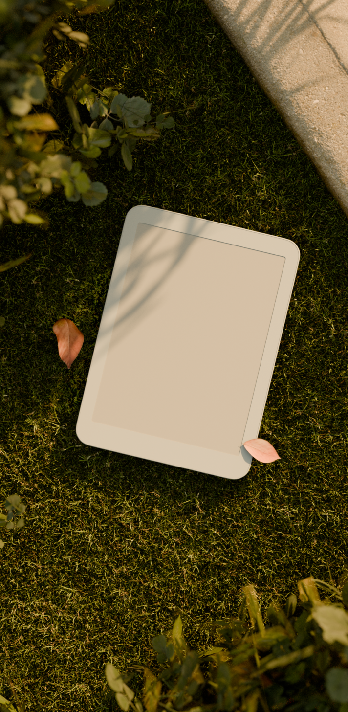 Daylight tablet on the grass