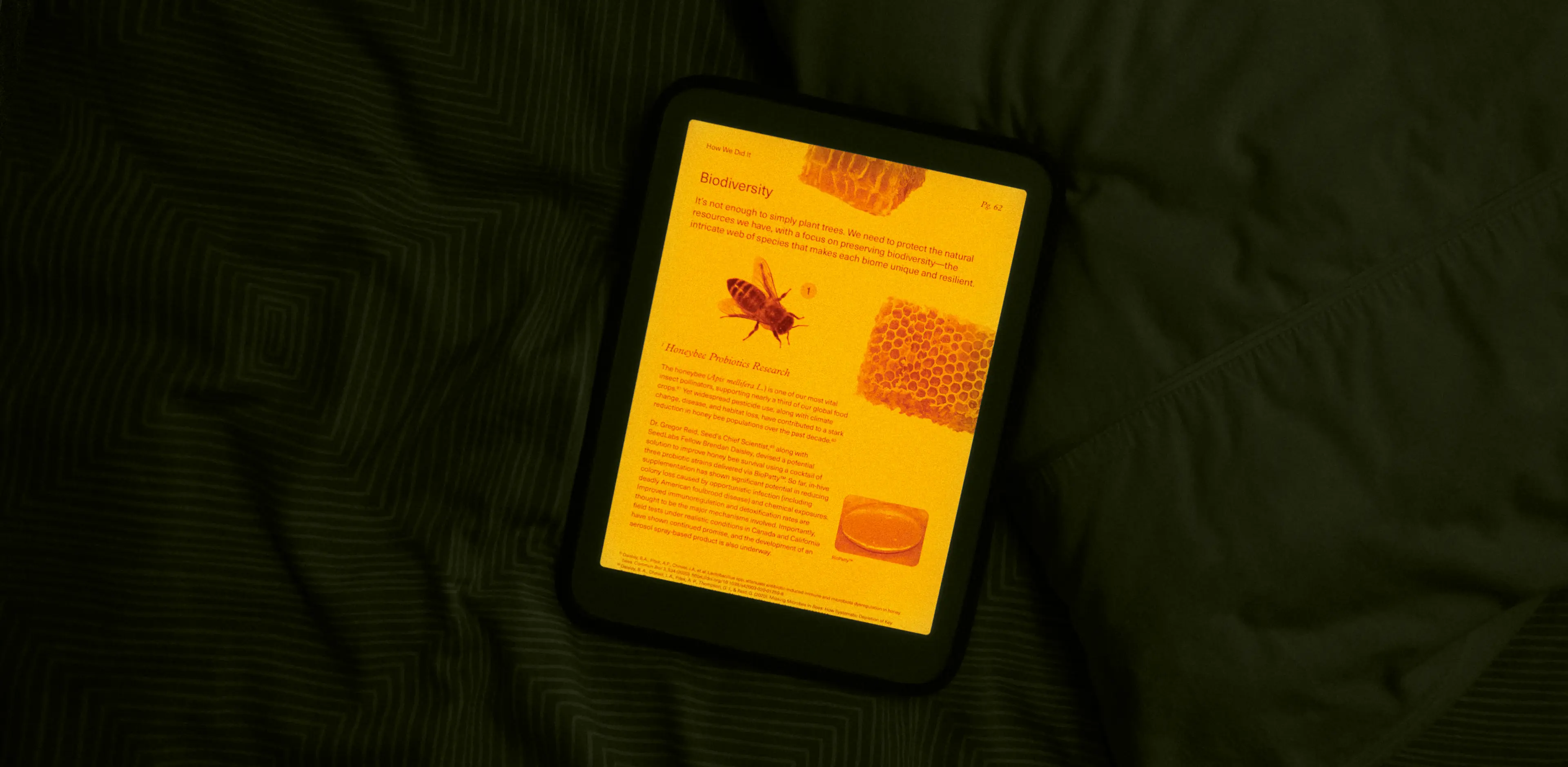 Daylight | The Fast 60fps E-paper and Blue-Light Free Tablet